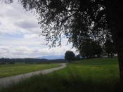 widok z miejsca ukrycia (prawie!)