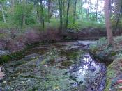 Inne ujęcie na staw