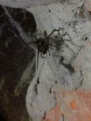 Zabójca.: Zasadniczo jednak trochę się o rękę bałam.^^