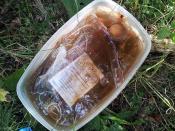 zaraz po znalezieniu - kesz pełen wody