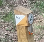 s.42
