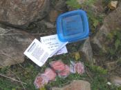 Contents