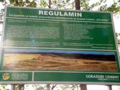 Regulamin