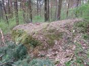 wychodnia skalna