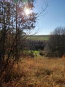 IMG_20211031_131229