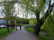 most, ale nie ten :)