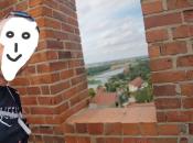 Wieża