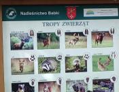 Tablica