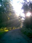 poranne promyki...:)