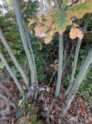 Nowe miejsce ukrycia.