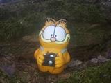 Garfield rozgląda się