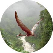 pierwszy wylot z gniazda