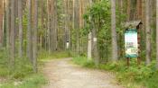 Ścieżka w arboretum