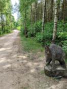 351025374_270359485559399_7340493794445527267_n