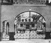 Lubuska_Wytwornia_Win_dawna_ul_Moniuszki_Stanislawa_Zielona_Gora_5784046