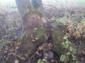 Zasobnik finałowy - miejsce ukrycia