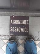 czyste salomonki