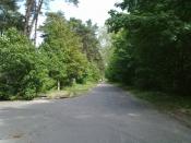 Blisko / so close / sehr nah