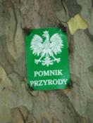 Pomnik przyrody