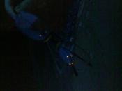 znalezione przy okazji-prawie ....jak kesz;) 