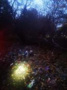 Miejsce gdzie stal pojazd