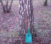 Łopatka wskazuje gdzie szukać