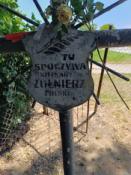   nieznany żołnierz