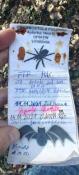 logbook