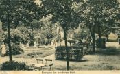 Fontanna w parku, 1909 r.