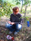 Ewa dokonuje formalności