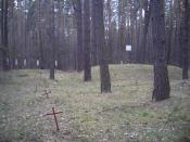 leśne mogiły