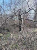 Okolice miejsca katastrofy 1