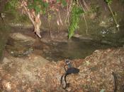 Lokalizacja Czerenin szukaj w miejscu gpsu