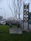 zoo