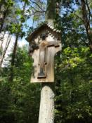 IMG_20240807_132134