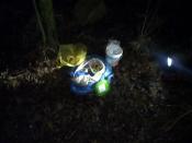 Pokaż kotku co masz w środku:P