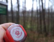 Karpaty3