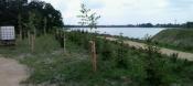 Widok z górki 2015.06.20
