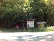 Poczytajta se tablice....