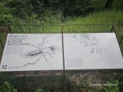 Strefa dla przyrody