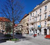 Rynek