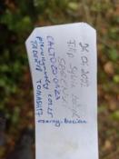 Wpis w logbook: Wpis w logbook