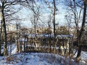 Widok 2