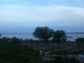 Widok na Wicko