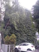 Tak teraz wygląda mural.