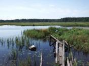 Żurawski Ług