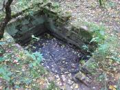 2-Zdjęcie ruin na zachęte (2)