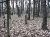 pojedynczy grób