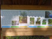  kompozycje w architekturze ogrodowej