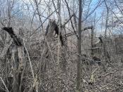 Okolice miejsca katastrofy 2